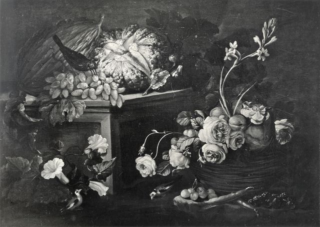 Anonimo — Autore non indicato - sec. XVII - Natura morta con fiori, frutta e uccelli — insieme